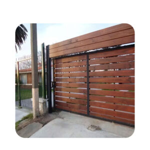 Portones Especiales (con diseño y madera)